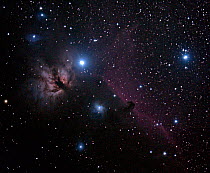 Flame Nebula (NGC 2024) in the Orion Constellation with the Horsehead Nebula to the right.  This image was taken on October 7, 2013 from eastern Colorado, USA, with digital focus stacking.