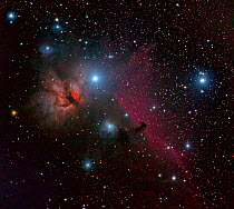 Horsehead and Flame Nebulae seen from east Colorado. Taken with digital focus stacking on October 8-9 2013 from Eastern Colorado.