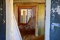 Abandoned house full of sand. Kolmanskop Ghost Town, an old diamond-mining town where shifting sand dunes have encroached abandoned houses, Namib Desert Namibia, October 2013.