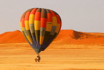 Hot air balloon landing after ride over the Namib desert, Namibia, February 2005.