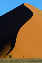 Patterns of shadows and light on sand dunes, Sossusvlei, Namib-Naukluft National Park, Namibia.