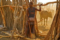 Himba man at the gate of the enclosure where cows are kept inside the village, Kaokoland, Namibia, September 2013.