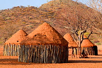 Houses in Himba village. Kaokoland, Namibia, September 2013.