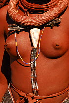Decorations of sea shell, and jewelry worn by Himba woman around the chest, Kaokoland, Namibia, June 2006