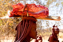 Himba woman carrying meat on her head. Kaokoland, Namibia, September 2013.