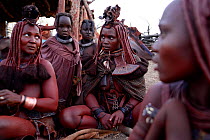 Himba women at the village at dawn. Kaokoland, Namibia, September 2013.