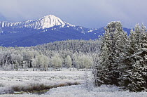Snowy landscape in Grand Teton National Park, Wyoming, USA, June.