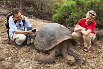 Tourists looking at Galapagos giant tortoise (Chelonoidis nigra) captive at Charles Darwin Research Center of Galapagos Islands, August 2010. Model released.