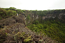 View of Twin Craters / Los Gemelos, Santa Cruz Island, Galapagos Islands, January 2012.