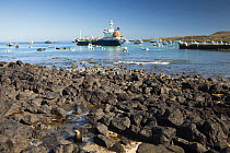 Marina on San Cristobal Island, with Galapagos sea lions (Zalophus wollebaeki) on the rocky shore, Galapagos Islands, January 2012
