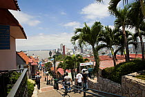 View from Las Penas galleries, Santa Ana Hill,  Guayaquil, Ecuador, August 2010.