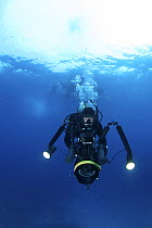 Female scuba diver and filmmaker with large underwater camera system.  Galapagos Islands, August 2010. Model released.