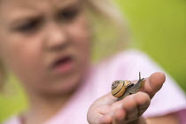 Young girl holding a Brown lipped snail (Cepaea nemoralis) in her hand, Devon, UK, July 2013. Model Released.