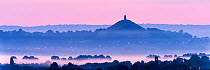 View towards Glastonbury Tor with low lying mist at dawn from Waltons Hill, Glastonbury, Somerset, UK, August 2013.