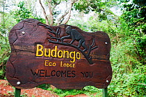Budongo Eco Lodge sign. Kabinyo Pabidi, Budongo Forest Reserve, Uganda, January 2011.
