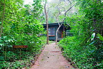 Budongo Eco Lodge cabin, Kabinyo Pabidi, Budongo Forest Reserve, Uganda, January 2011.