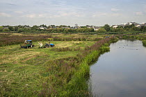 Reserve management in late summer - cutting hay, WWT London Wetland Centre, Barnes, London, September 2013.