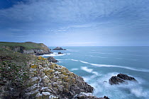 Coastal landscape with rocky headland. Great Saltee, Saltee Islands, County Wexford, Republic of Ireland, June.