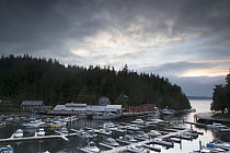 Last evening light in Telegraph Cove, a small harbour in the Northern part of Vancouver Island, British Columbia, Canada, August.