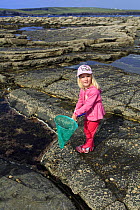 Young girl rock pooling, Pollock Holes, Kilkee, County Clare, Republic of Ireland, May 2013. Model released. Meetyourneighbours.net project