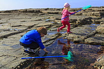 Young boy and girl rock pooling, Pollock Holes, Kilkee, County Clare, Republic of Ireland, May 2013. Model released. Meetyourneighbours.net project
