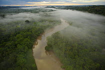 Aerial view of morning mist above the Tiputini River in Yasuni National Park, Francisco de Orellana Province, Ecuador, July.