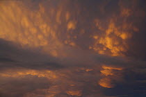 Clouds at sunset above Anangu lagoon in Yasuni National Park, Orellana Province, Ecuador, July.