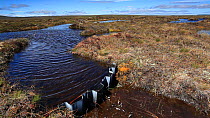 Blocked drainage ditch on a blanket bog, Forsinard Flows RSPB reserve, Caithness, Scotland, UK, June 2011.