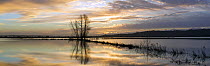 Panorama of floodwaters at sunrise, King's Sedge Moor near Othery, Somerset Levels, Somerset, UK. January 2014. Digital composite, larger file available.