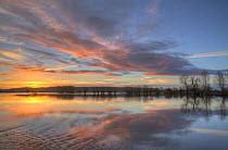 Sunrise and floodwater over the fields at King's Sedge Moor near Othery, Somerset Levels, Somerset, UK. January 2014S. Digital composite.