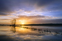 Sunrise reflected in vast expanse of flood water lying over the fields at King's Sedge Moor, near Othery, Somerset Levels, Somerset, UK. January 2014