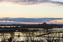 Floodwaters and Burrow Mump and its ruined hilltop church at sunset, near Burrowbridge. Somerset Levels, Somerset, UK. January 2014.