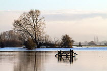 A solitary gate in floodwaters, in farmland on West Sedgemoor, near Stoke St Gregory. Somerset Levels, Somerset, UK. January 2014