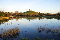 Burrow Mump and its ruined hilltop church near Burrowbridge. In the foreground a swollen River Parrett on the right is joined by the River Tone on the left. Somerset Levels, Somerset, UK. January 2014...