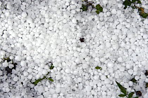Large hail stones collected on the ground after a storm, Herefordshire, England, UK, December.