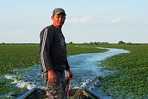 Danube Delta fisherman Florin Moisa navigating through the Water chestnuts (Trapa natans) Danube Delta, Romania, June 2013.