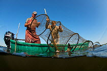 Danube Delta fisherman Florin Moisa checking traditional fyke nets, Danube Delta, Romania, June 2013.