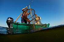 Danube Delta fisherman Florin Moisa checking traditional fyke nets, Danube Delta, Romania, June 2013.