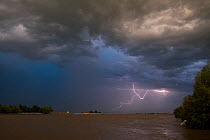 Dramatic thunderstorm coming over the Danube Delta at dusk, Crisan, Danube Delta, Romania, June 2013.