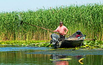Traditional fisherman, Danube Delta, Romania, June 2013.