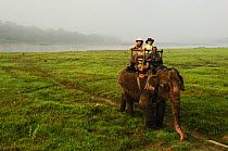 Tourists riding on domestic Indian elephant (Elephas maximas) during wildlife safari, Royal Chitwan National Park, Nepal.