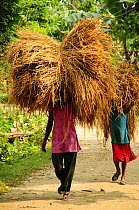 A woman and a child carrying animal fodder on their heads, Royal Bardia National Park, Nepal, October 2011.