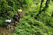 Porters carrying baggage in the Modi Khola river valley. Annapurna Sanctuary, central Nepal, November 2011.