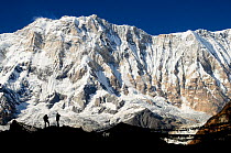 Mount Annapurna I (8091m) from base camp, with hikers and prayer flags silhouetted, Annapurna Sanctuary, central Nepal, November 2011.