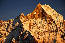 Mount Machapuchare( 6997m) at sunset. Annapurna Himal,  Annapurna Sanctuary, central Nepal, November 2011.