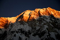 Annapurna I mountain (8091m) at dawn, Annapurna mountains, central Nepal, November 2011.
