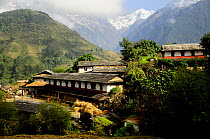 Ghandruk Village (at altitude of 1990m) Annapurna Sanctuary, central Nepal, November 2011.