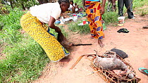 THIS VIDEO CLIP WILL BE AVAILABLE TO VIEW ONLINE SOON. TO VIEW NOW, PLEASE CONTACT US. -Woman purchasing bushmeat fom a hunter, Lidjombo forest road near Dzanga-Ndoki National Park, Sangha-Mbaere Pref...