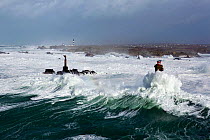 Rough seas during Storm 'Ruth', Ile d'Ouessant, Armorique Regional Park. Iles du Ponant, Finistere, Brittany, France, Iroise Sea. 8th February 2014.~~France, Bretagne, Finistere, Mer d'Iroise, Iles du...