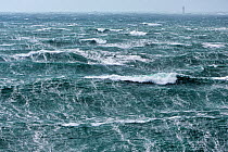 Rough seas during Storm 'Ruth', Ile d'Ouessant, Armorique Regional Park, Iles du Ponant, Finistere, Brittany, France, Iroise Sea. 8th February 2014.  France, Bretagne, Finistere, Mer d'Iroise, Iles...